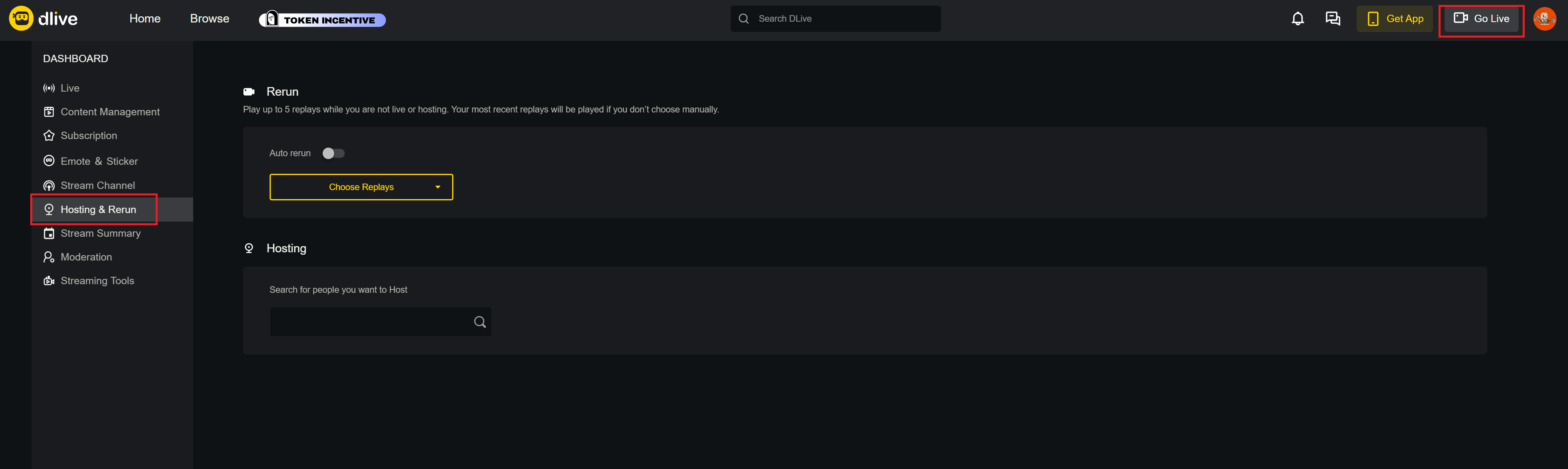 Hosting & Rerun.png