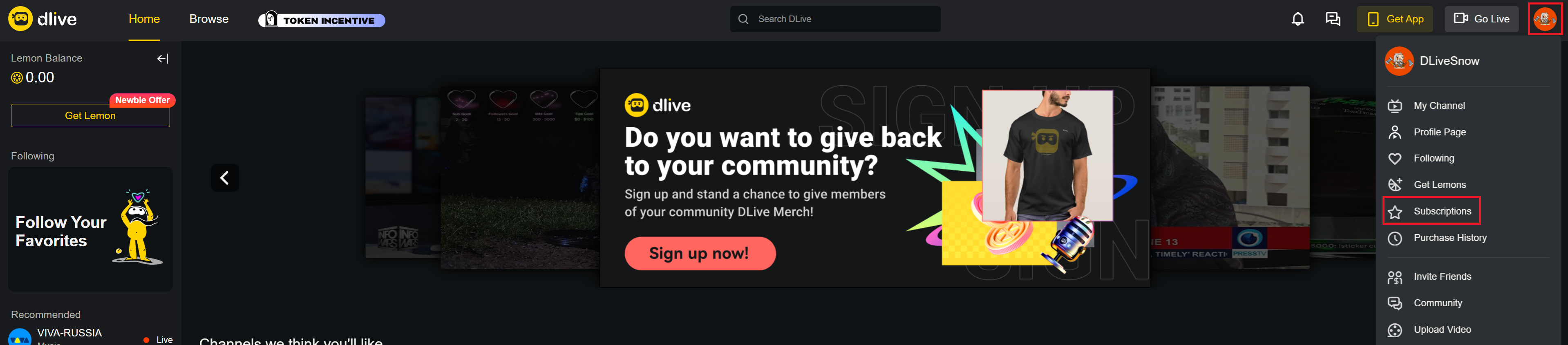 View Subscription.png